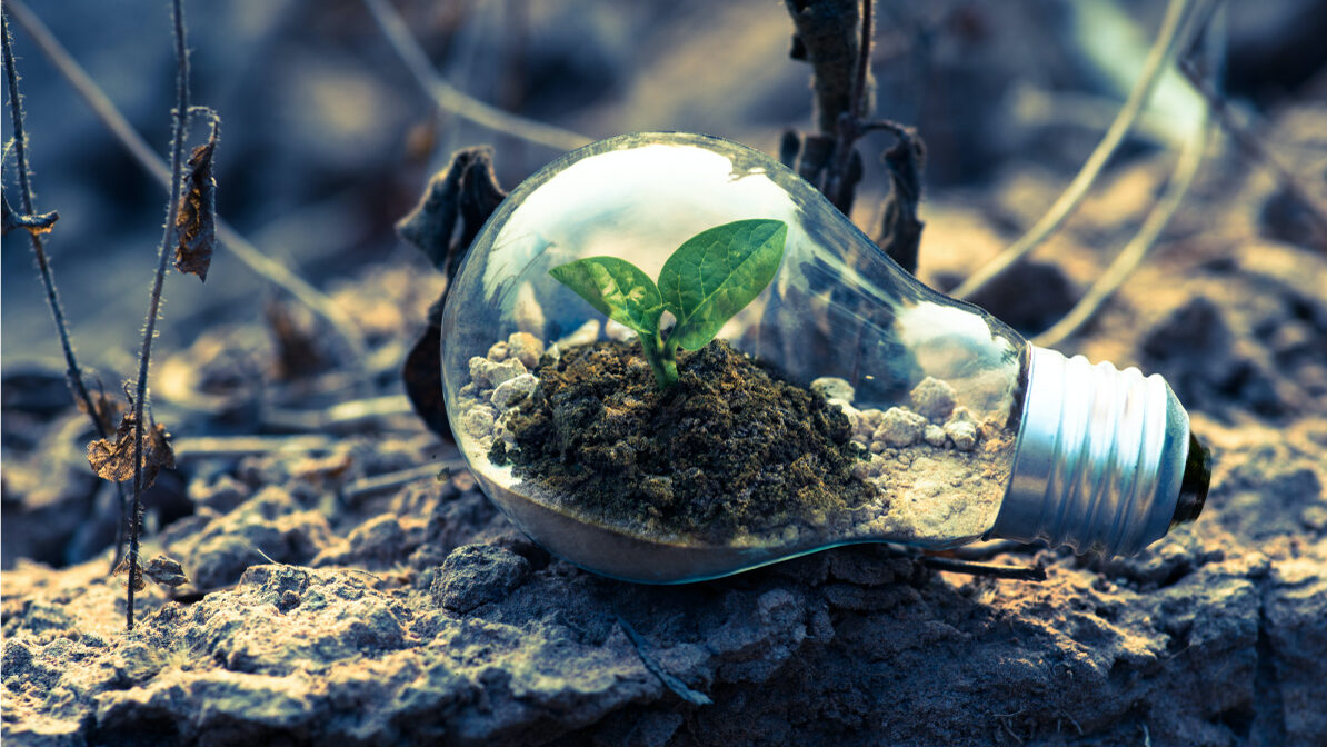 green-economy
